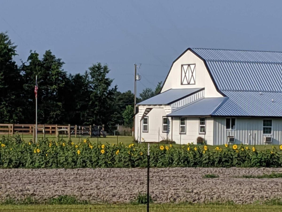 Holiday home Bunkhouse Farm *